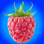 Himbeeren Group