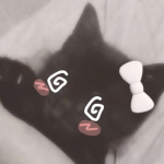 Pearlstar
