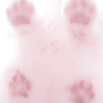pawprwintss' Place