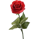 Rose Army Group