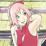 Fleurs de Sakura