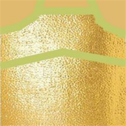 Golden Girls Outfit Roblox decal