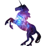 the unicorns <3
