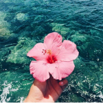Ems // Incoming Waves Shop