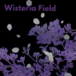 Wisteria field