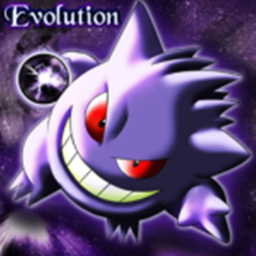 Project Evolution