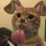 kawaiigummybears