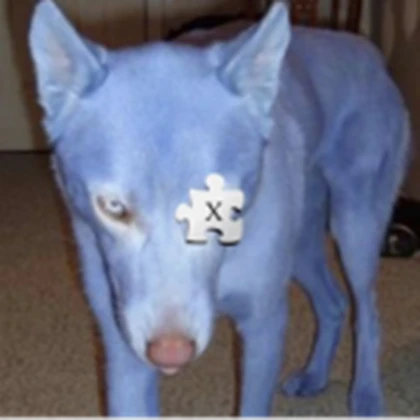 troubIe Roblox group icon