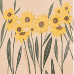 Sunflower clothing shop!