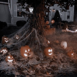 ｡ ˚ 𐔌 🎃 ⋆ ˚
