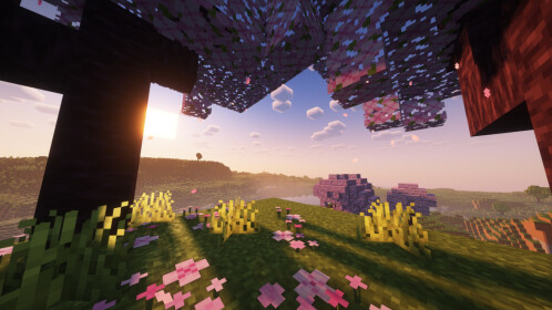⛏️ GAMECRAFT ELEVATOR 💎