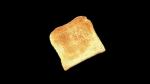 The Brtoast Community