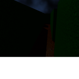 The Maze