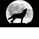 Howling Wolf Clothing