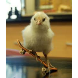 Chicken Kart 64