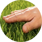 caption=Badge