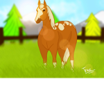 UP Riding Academy