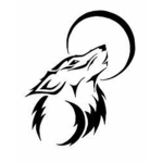 Team Timber Wolves