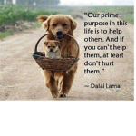 Pet life !