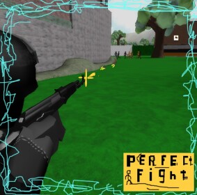 Perfect Fight