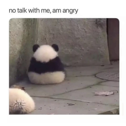 Red panda RP