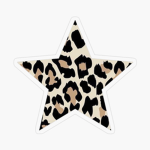 Cheetah boutique