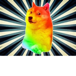 ranbow doge