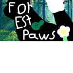 ※ forest paws ! ※