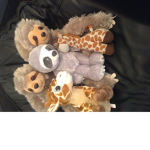 Giraffe stuff