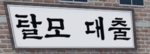 혁명당 I 돌격대