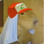 Sorteio da capivara