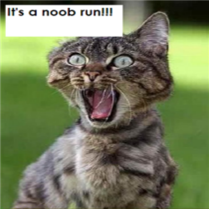 The cat Roblox decal