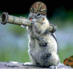 juicy squirrels