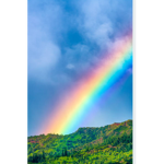 Penny’s rainbows