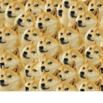DogeXEmpire