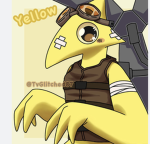 YELLOW DEV GROUP