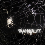 †ranquility