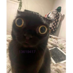 ĘᴅᴇʀʀÃ