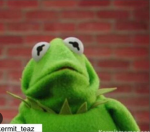 Kermit the frog meme