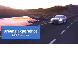 Driving experience