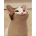 ヌッコグループ