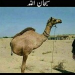 גיהנום סורי