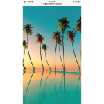 Sunset Evas