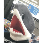 2827