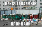 Drosavsky Banda