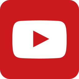 Video simulator