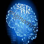 Snarl Engineering/SENK