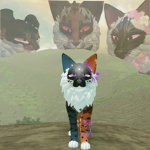 +*AcornClan*+