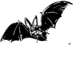 Vampires Knights
