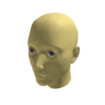 Mannequin_2 - Dynamic Head